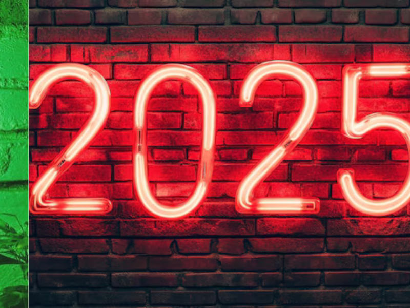 Why Neon Signs Are Making a Comeback in 2025